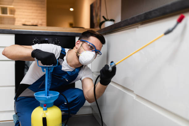 Best Residential Pest Control  in Gallatin, MO