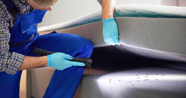 Best Wasp Removal Services  in Gallatin, MO